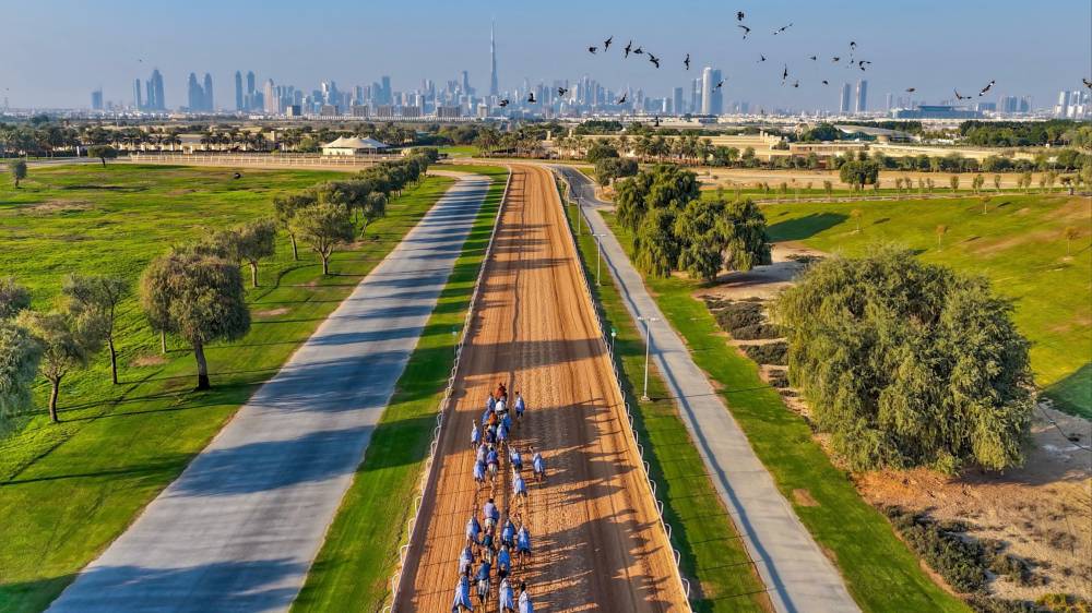 جمال دبي بعدسة فزاع