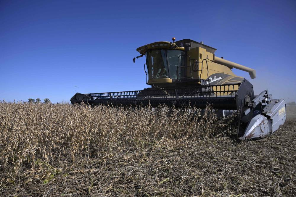 12 مليار دولار مساعدات ترامب للمزارعين المتضررين من الحرب التجارية