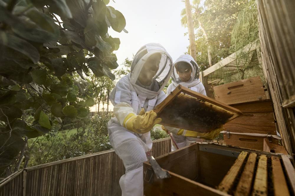 جانب من القرية