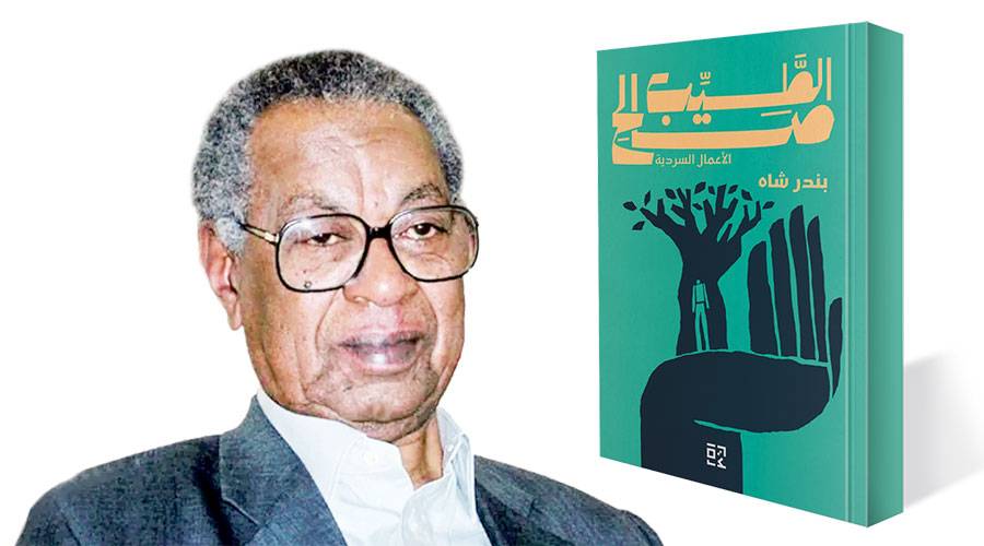 «بندر شاه».. تحفة سردية مجهولة
