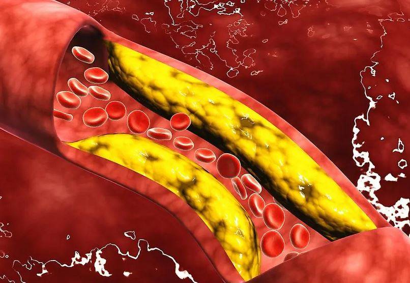اكتشاف إنزيم يتحكم في زيادة الوزن ومستويات الكوليسترول