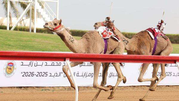 من منافسات المهرجان في الذيد