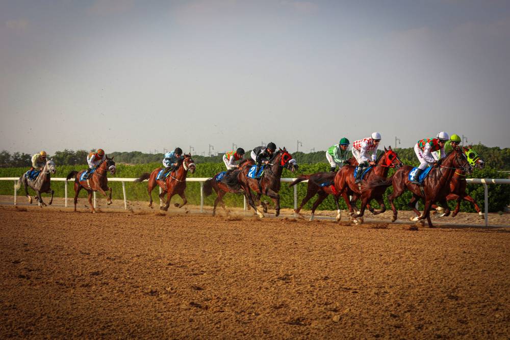 منافسة مثيرة قبل الوصول إلى خط النهاية