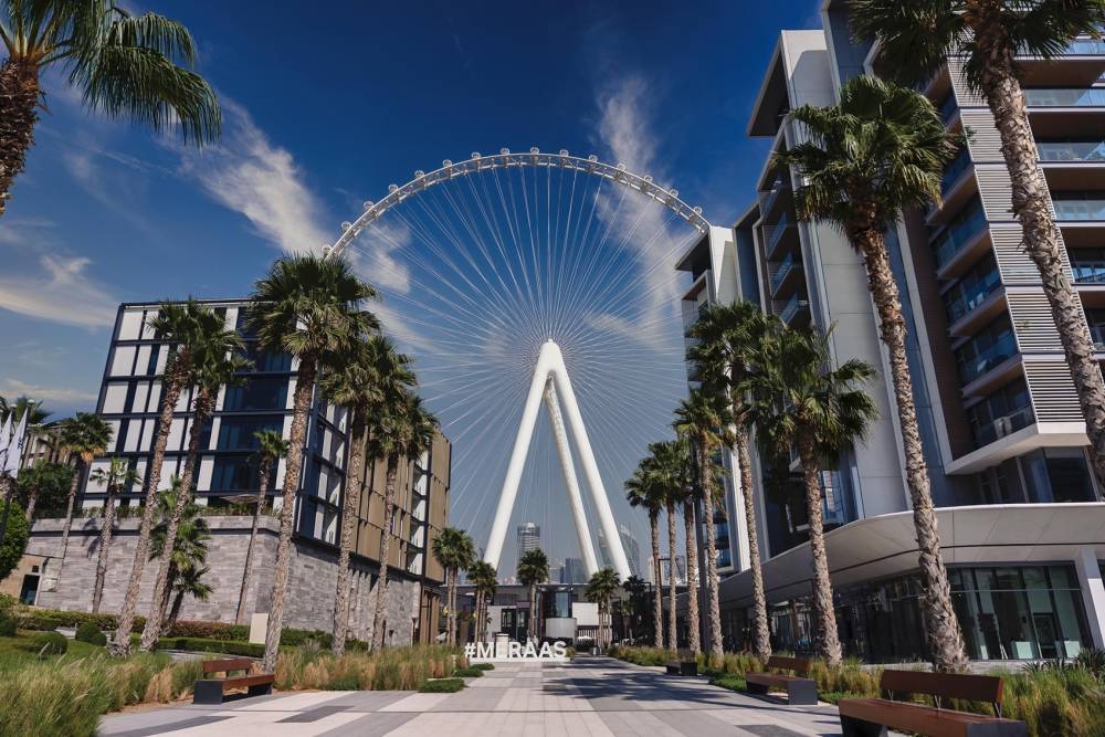 جزيرة بلو واترز في دبي