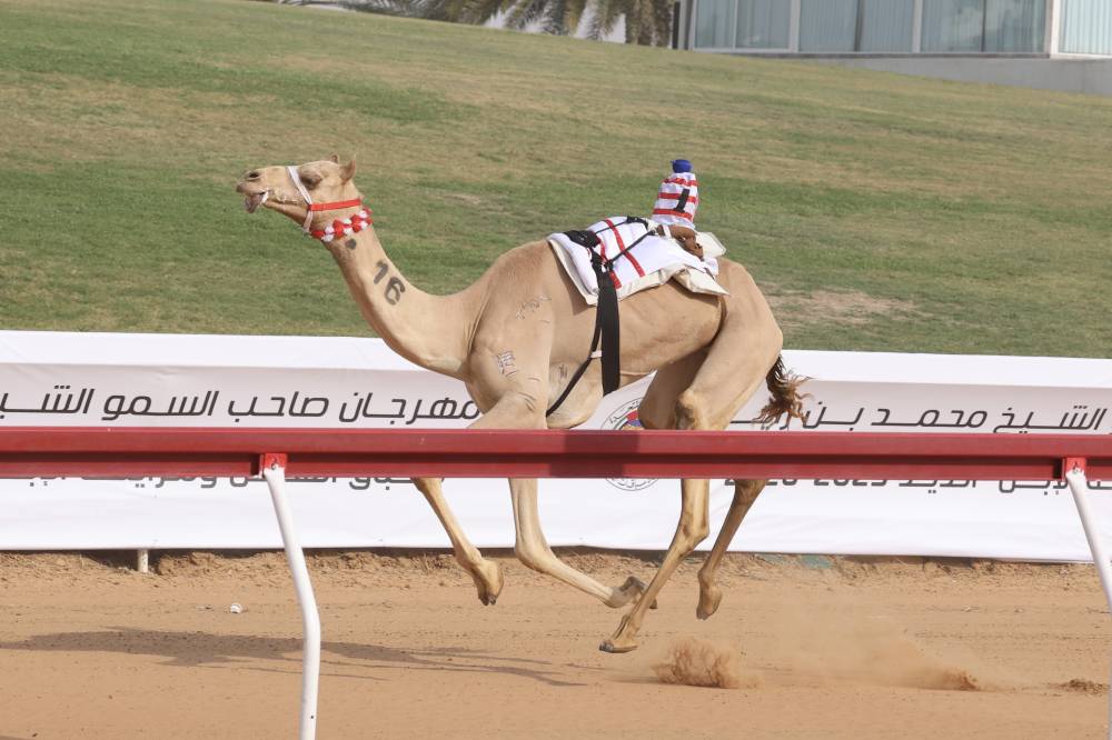 من المنافسات