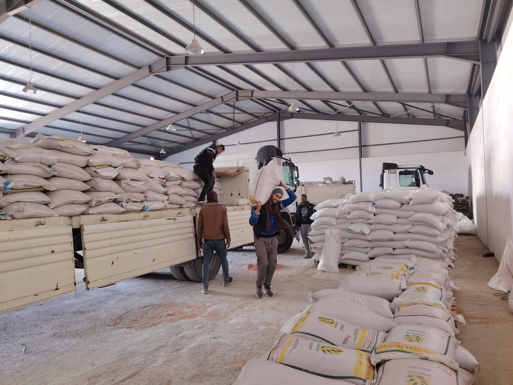 الديوان ‌المهني للحبوب، مشتري ⁠الحبوب الحكومي في الجزائر