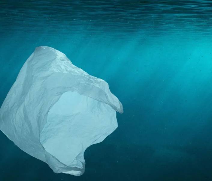 «بيئة أبوظبي» تدعم تنفيذ المرحلة الثانية من حظر المنتجات البلاستيكية