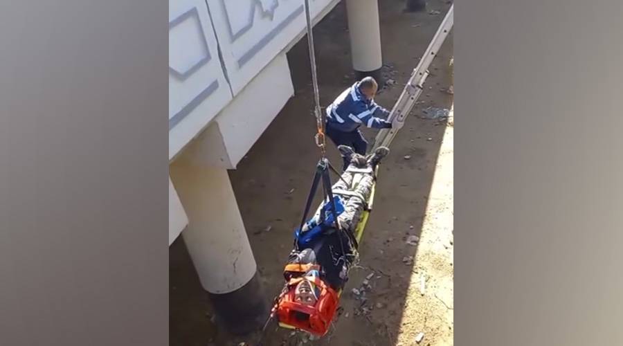 الإسعاف المصري ينقذ شاباً بعد سقوطه من جسر بارتفاع 4 طوابق