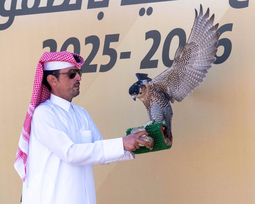  جانب من المنافسات