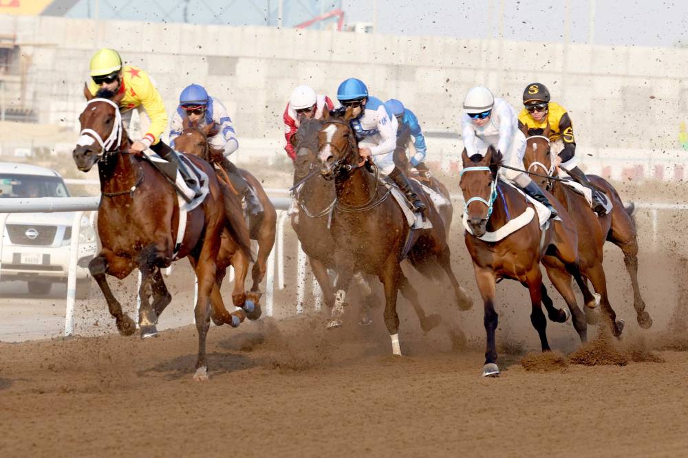 سباق جبل علي للخيول  تصوير : هيثم الخاتم