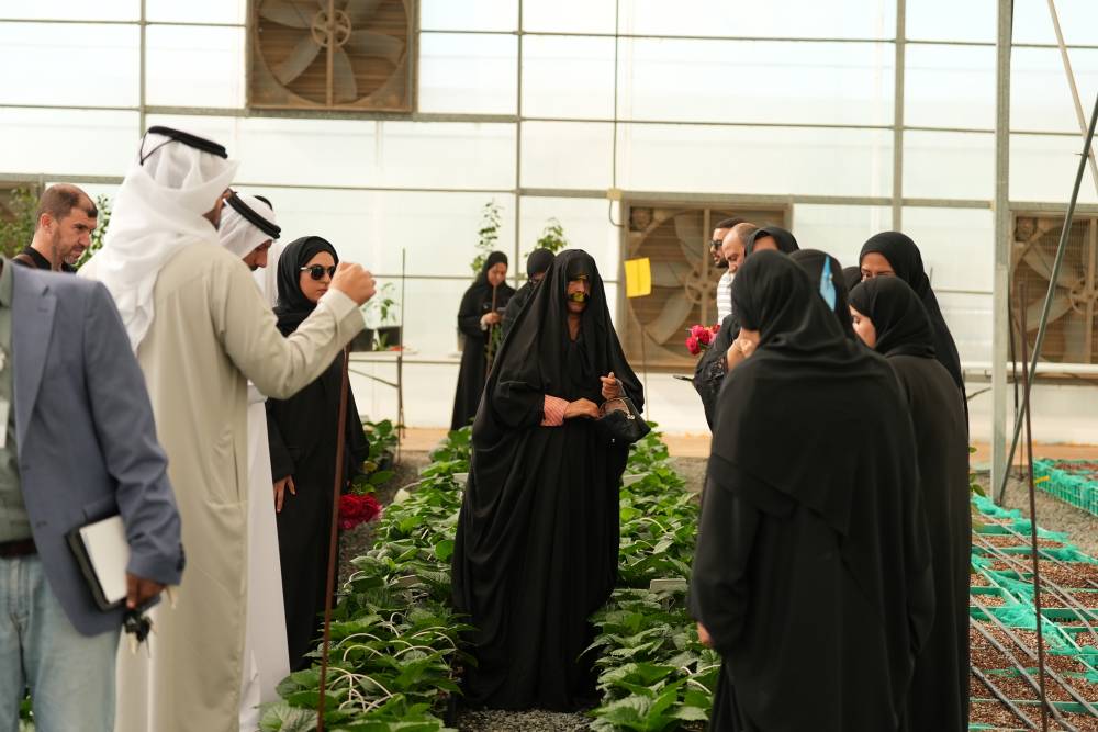 يوم مفتوح للمزارعين في محطة أبحاث الكويتات
