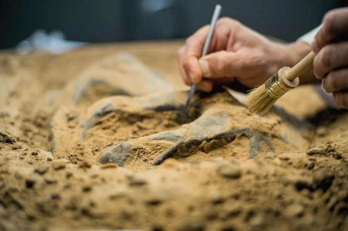 اللوح الطيني