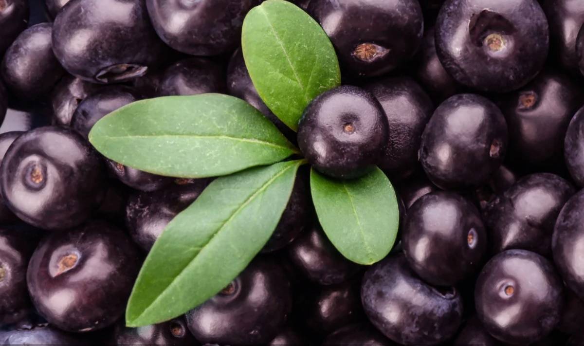 «الآساي».. صيدلية للوقاية ومحاربة الأمراض