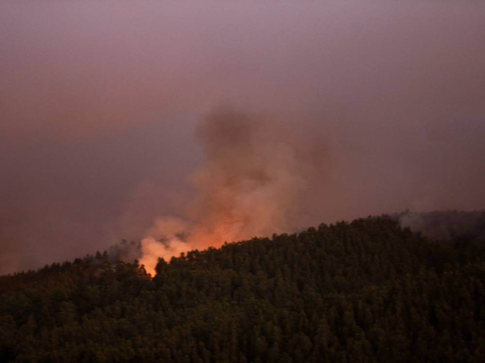 تشيلي.. ارتفاع ضحايا حرائق الغابات إلى 18 قتيلا