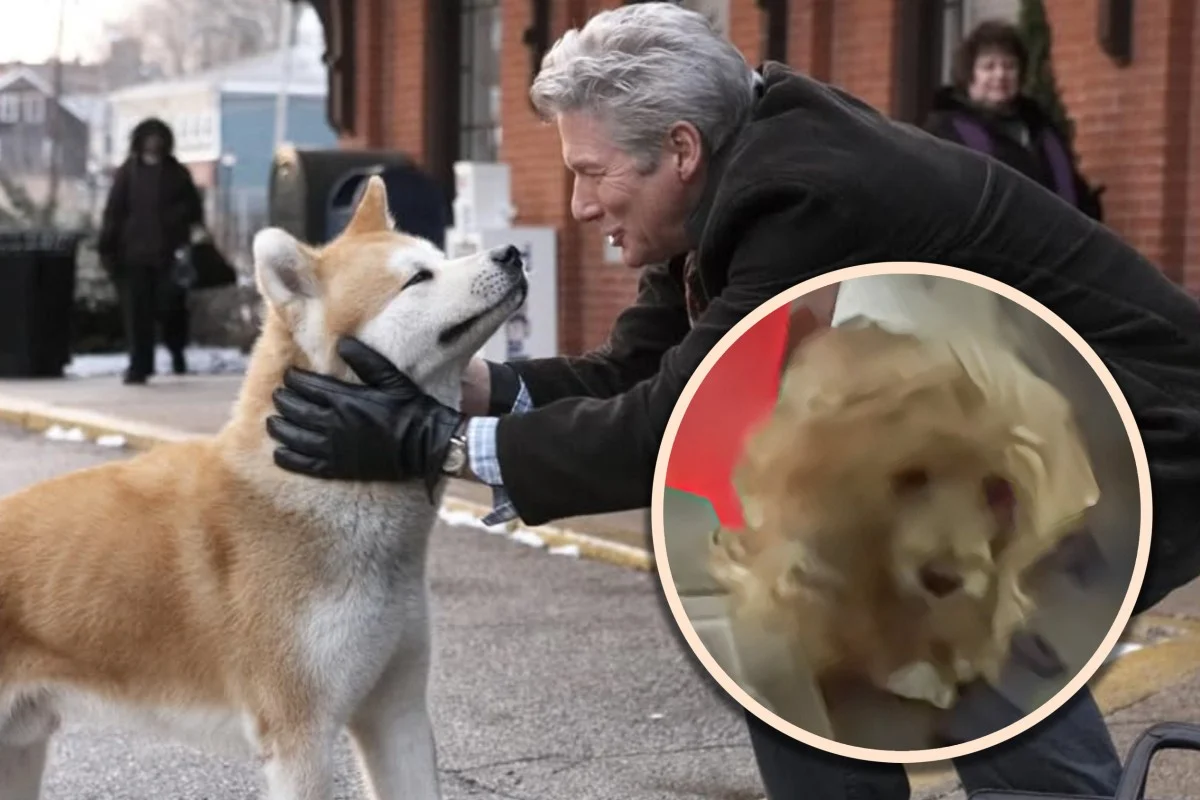 لقطة من الفيلم، وفي الإطار الكلب «آه وانغ»