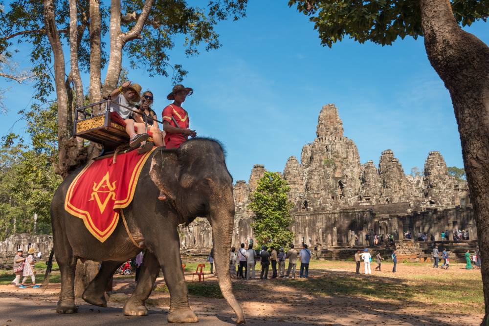 كمبوديا.. عالم الفيلة في «مملكة العجائب»