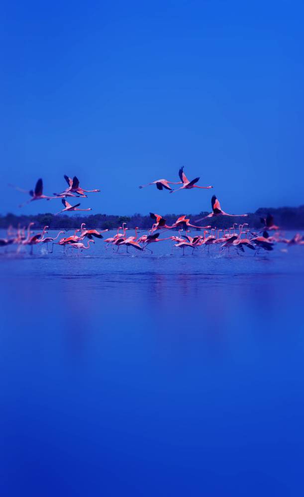 وجهات تعزف سيمفونية الجذب السياحي في عجمان