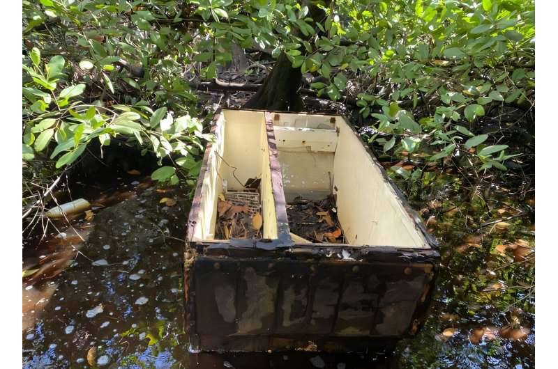 نفايات بلاستيكية تحيط بأشجار المانغروف 