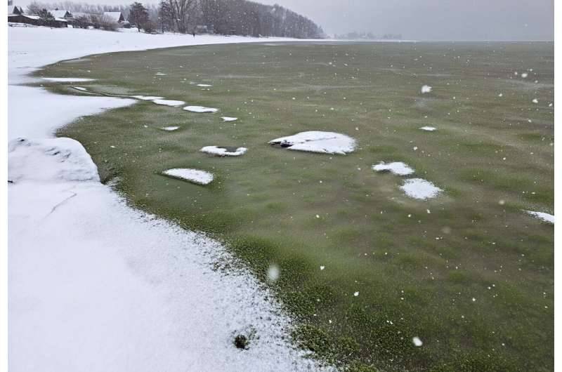 «الجليد الأخضر» يظهر في بحيرة «ليبنو»