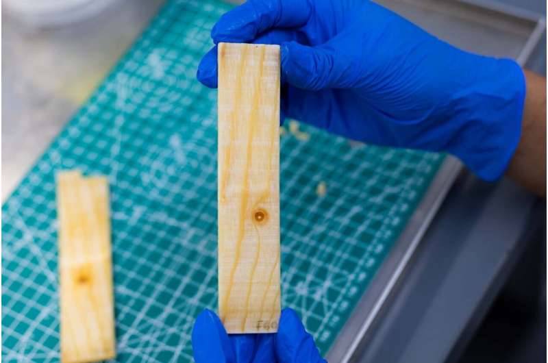 الخشب الذكي 