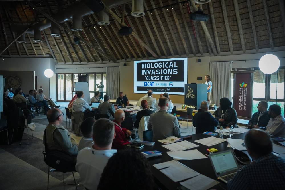 «الشارقة لصون التنوع الحيوي» يناقش تحديات إنقاذ الطيور البحرية