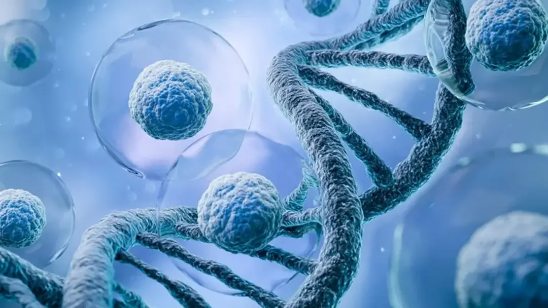 رسم حاسوبي لإعادة البرمجة اللاجينية