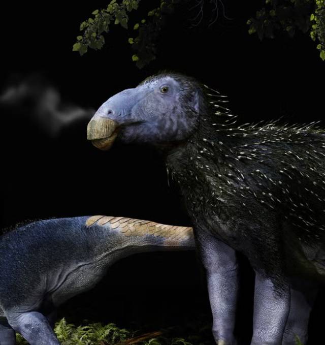 اكتشاف ديناصور بأشواك كيراتينية فريدة