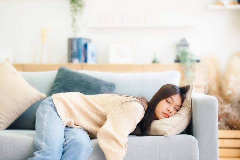 القيلولة تعيد التركيز