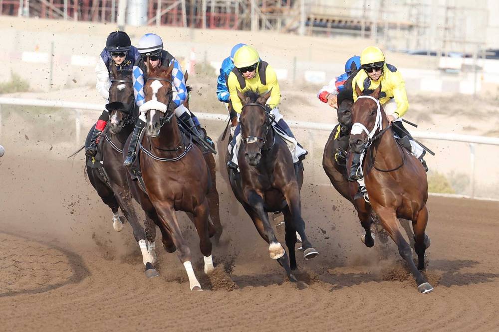 سباق جبل علي للخيول (تصوير:هيثم الخاتم)