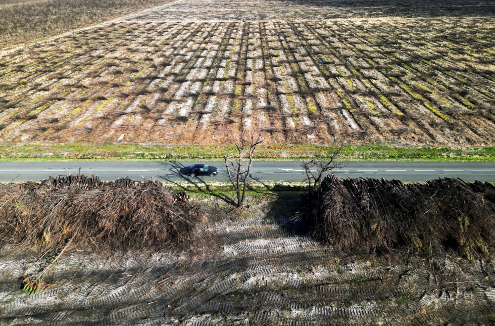  حرائق الغابات بمنطقة جيروند في سان ماغن الفرنسية في 2023 (رويترز/ أرشيفية)