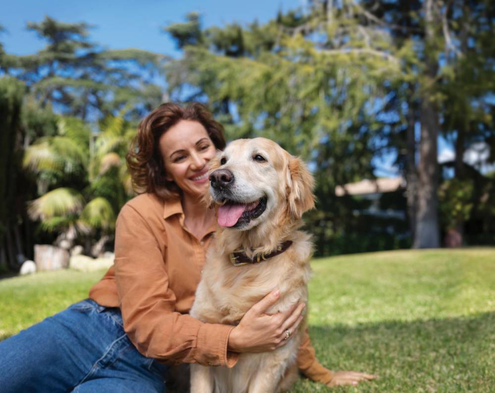 نقل الحيوانات الأليفة