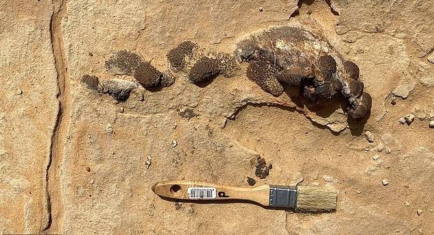 اكتشاف نوع «سبينوصورات» عاش قبل 95 مليون سنة