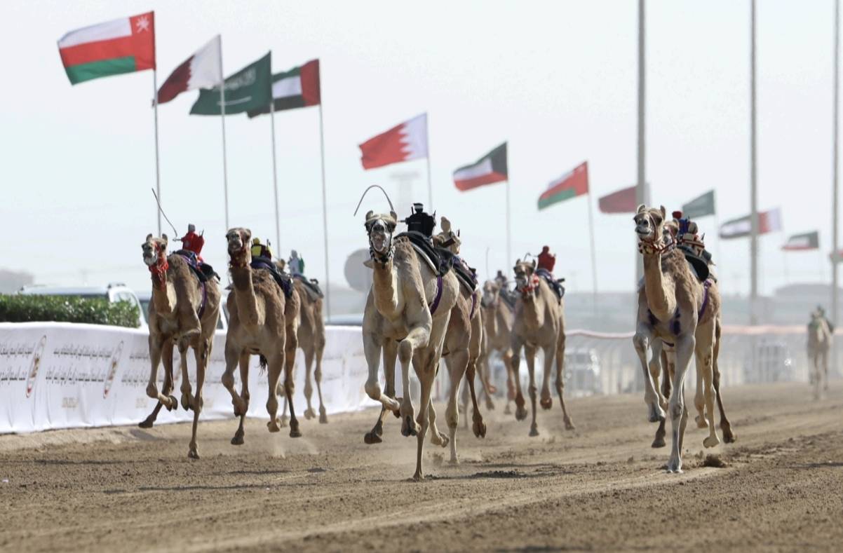 من المنافسات ( تصوير: محمد السماني)