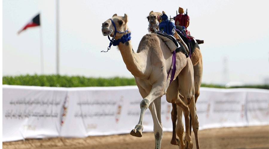 ركضة الفوز عند خط النهاية