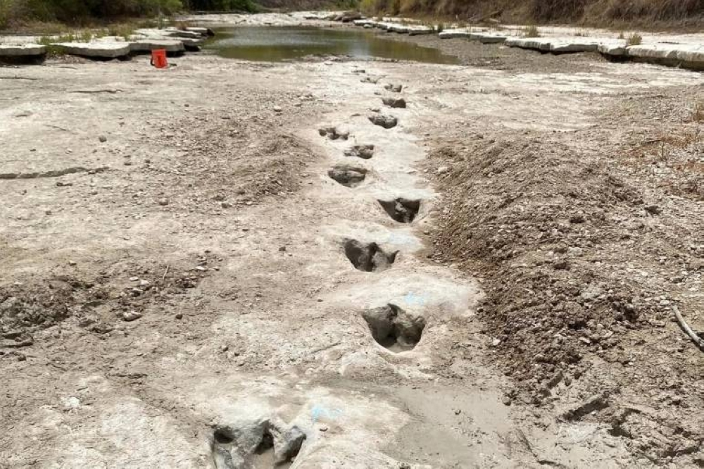 مشروع ذكاء اصطناعي يهدد آثار ديناصورات