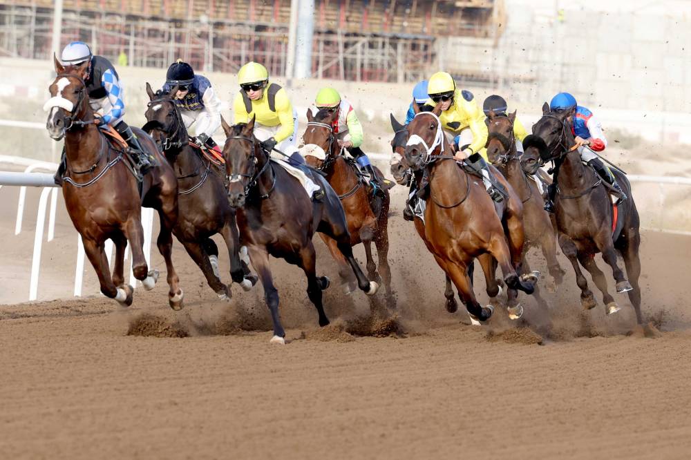 سباق جبل علي للخيول (تصوير:هيثم الخاتم)