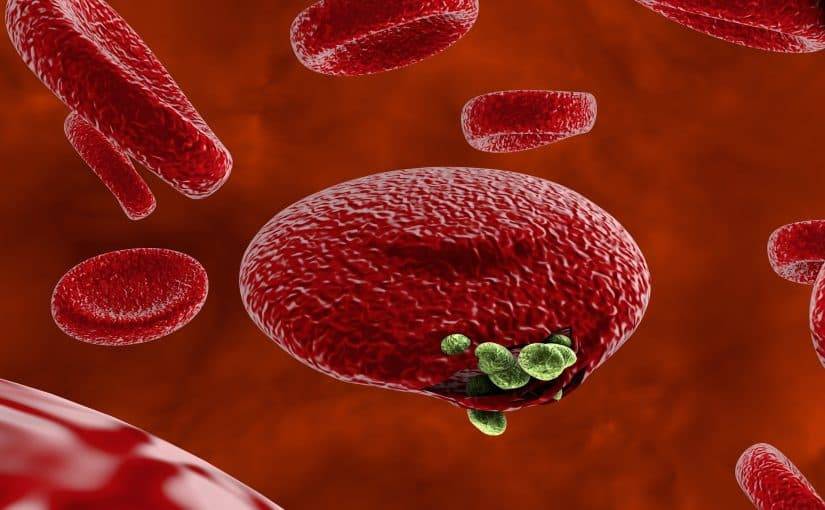 لقاح مبتكر للملاريا يحقق نتائج واعدة مخبرياً