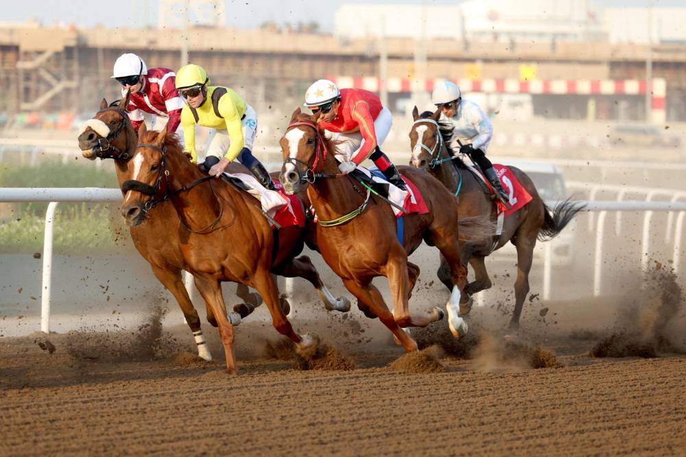 سباقات مضمار جبل علي تحظى بقمة الإثارة دائماً