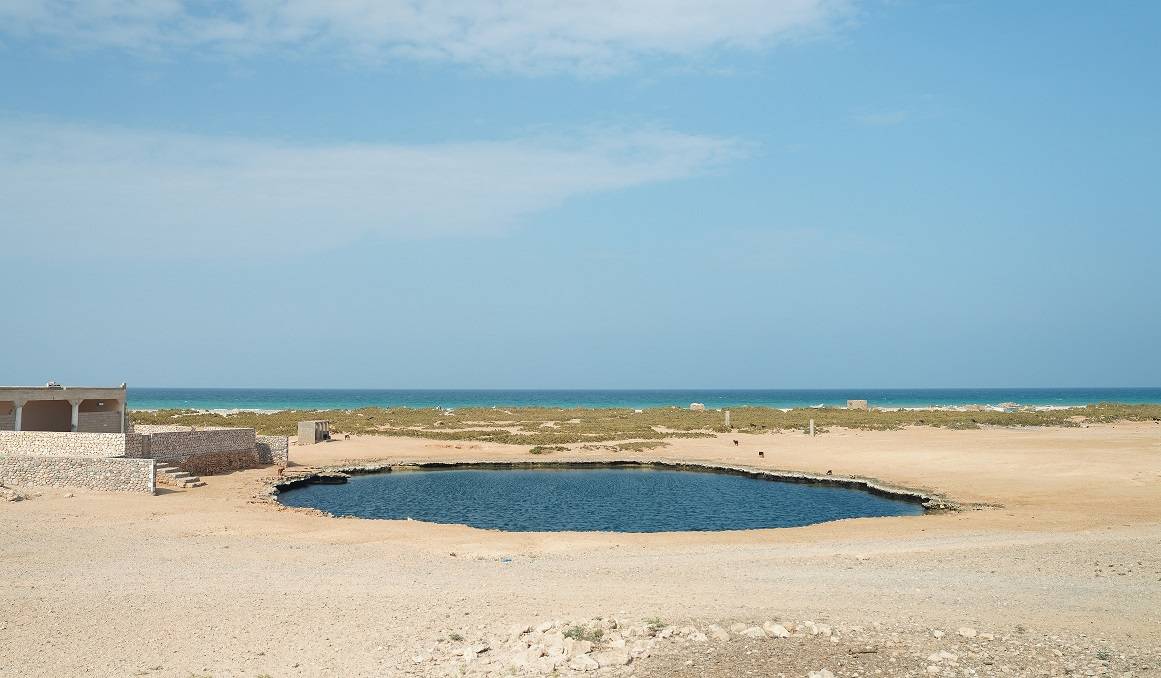 «قلبي اطمأن» يكشف الطبيعة الفريدة في سقطرى
