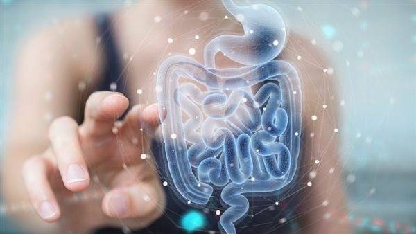 بكتيريا معوية سبب فقدان الذاكرة