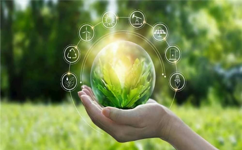 تعاون مصري - دولي في المهن الخضراء