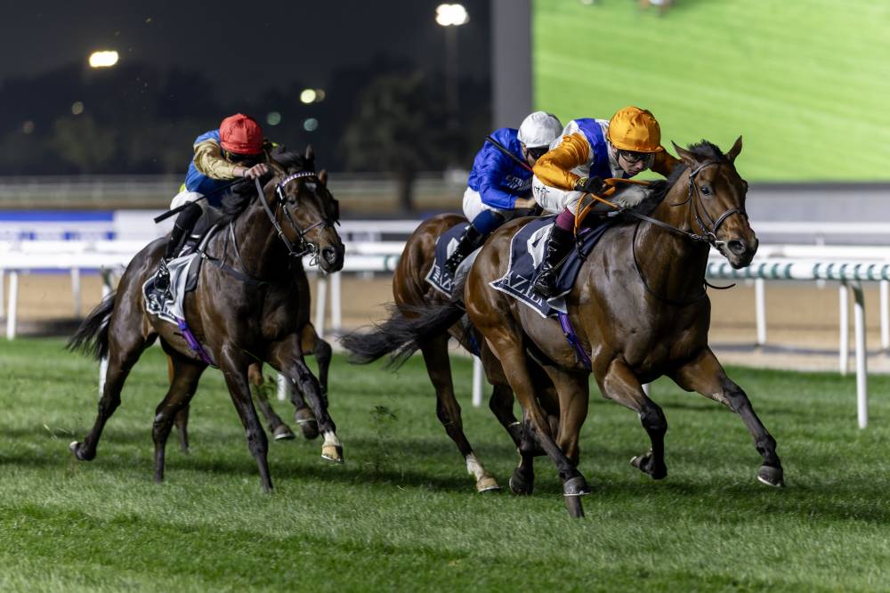 كرنفال سباقات دبي حفل بقمة الإثارة