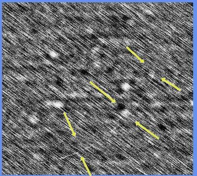 رصد هلال شوال وتصويره نهاراً من أبوظبي