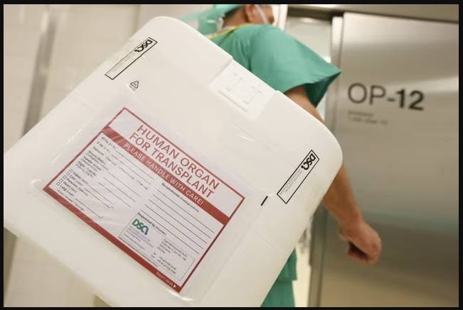 تقنية لحفظ الأعضاء المتبرع بها لعدة أيام