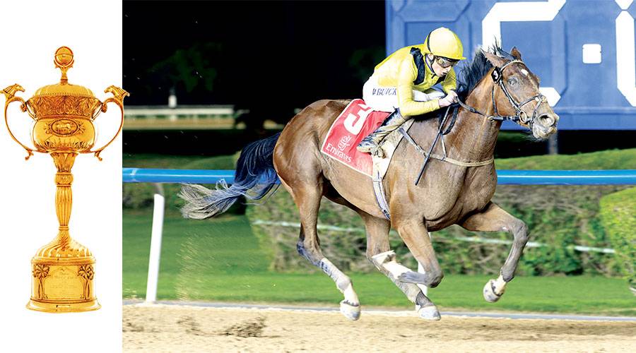 نخبة خيول العالم تتأهب لملحمة «كأس دبي العالمي 2026»