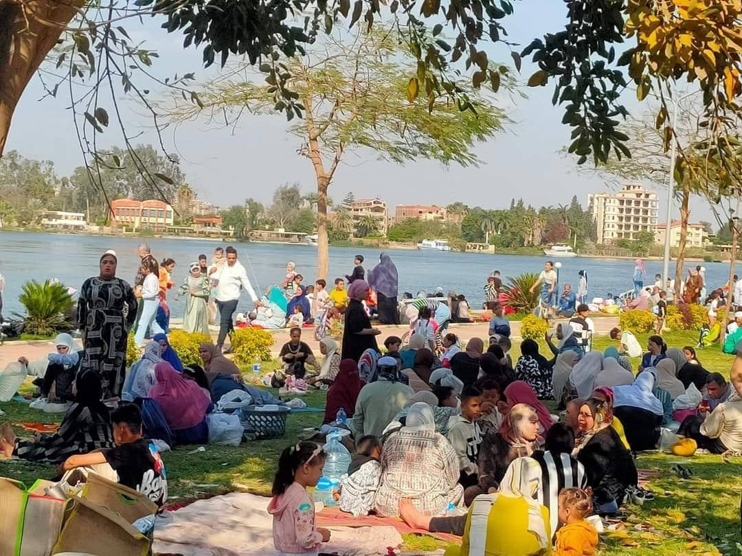 مصر تتقدم 36 مركزاً في مؤشر تغير المناخ