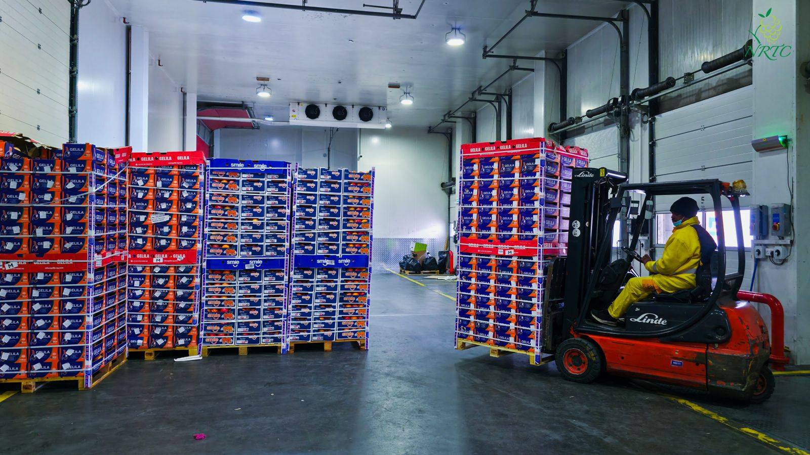 توسيع المنتجات نحو فئات ذات هوامش ربح أعلى