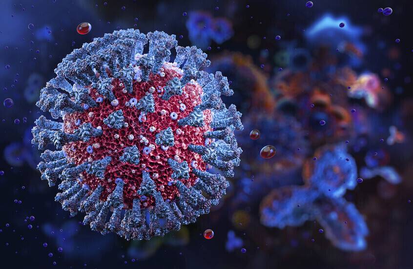 بروتين يمنع جهاز المناعة من تدمير الجسم