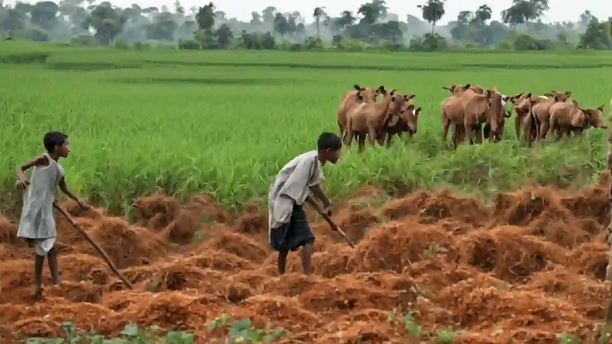 تخفيض توقعات نمو دول نامية مع ارتفاع الطاقة