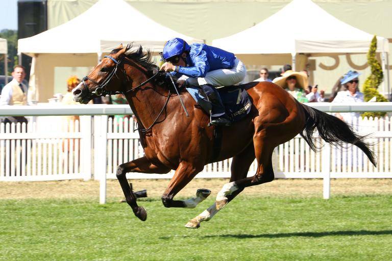 «أومبودزمان» جاهز لتحدي دبي تيرف